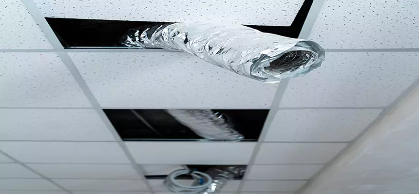 Affordable HVAC Sanitizing After Pest Removal in San Clemente