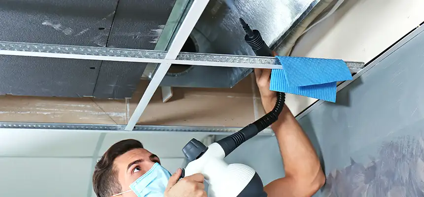 Our Air Duct Rodent Removal Services in San Clemente, CA