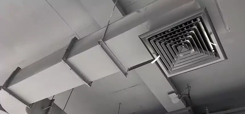 Restorative Allergy Relief Vent Cleaning – Coil, Blower & Housing Detail in San Clemente