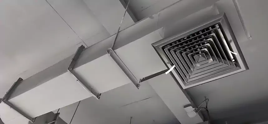 Our Pest Removal From Ducts Services in San Clemente, CA