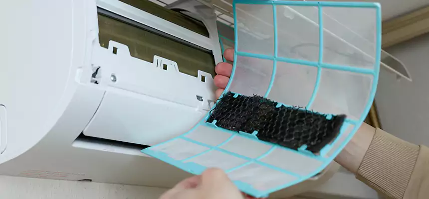 Gentle Ductwork Odor-Control Pet Dander Duct Cleaning in San Clemente, CA