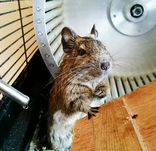 Why Homeowners & Businesses Trust Us San Clemente, CA?