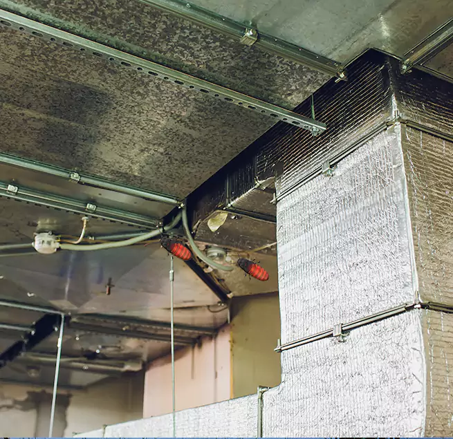 Why Homeowners & Businesses Trust Us San Clemente, CA?